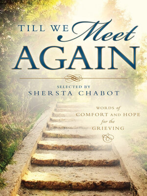 cover image of Till We Meet Again